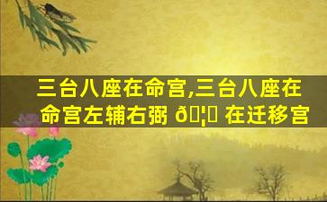 三台八座在命宫,三台八座在命宫左辅右弼 🦈 在迁移宫